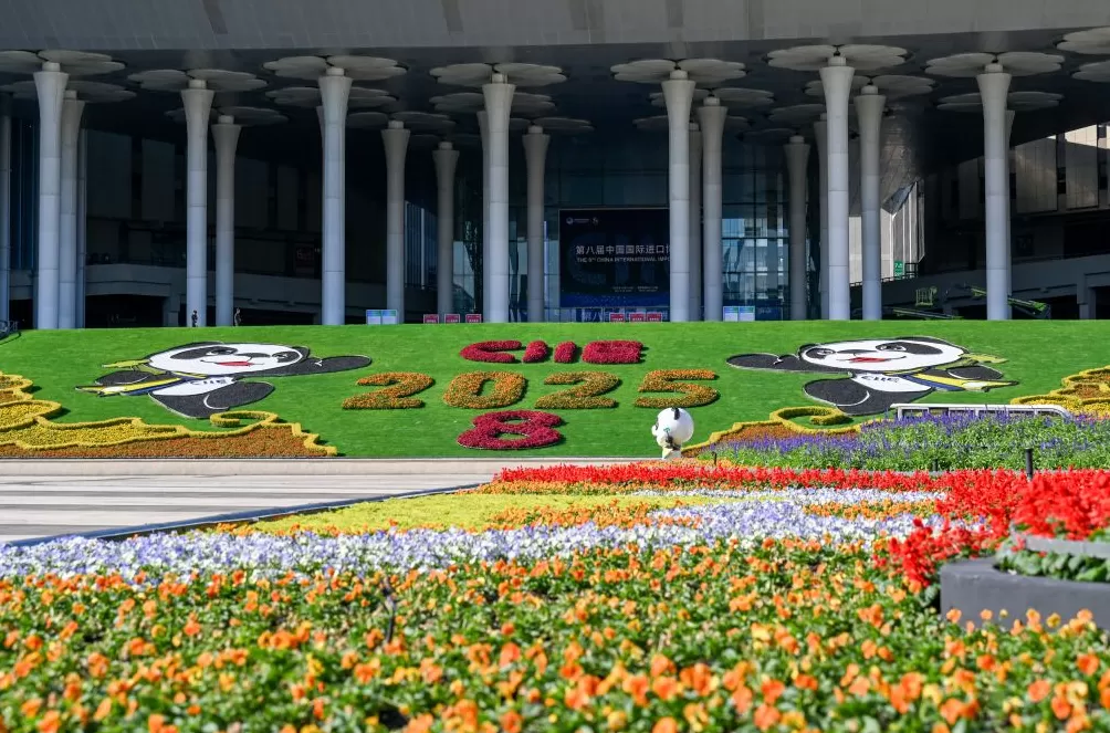 进博直击|四叶草全面“定妆”,静待第八届进博会开幕-第3张图片- 进博直击|四叶草全面“定妆”,静待第八届进博会开幕-第3张图片-