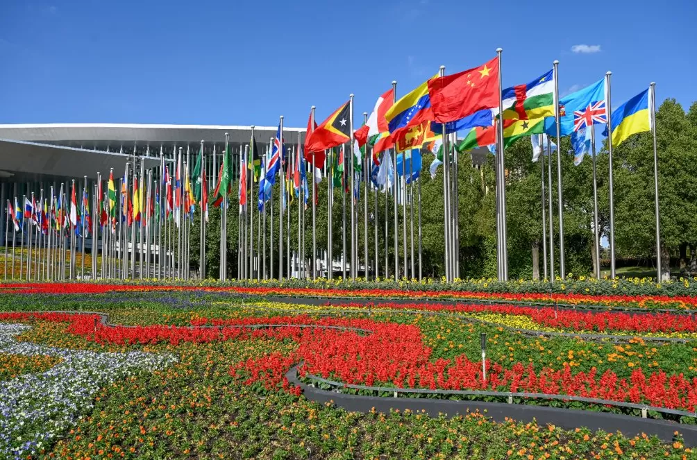 进博直击|四叶草全面“定妆”,静待第八届进博会开幕-第5张图片- 进博直击|四叶草全面“定妆”,静待第八届进博会开幕-第5张图片-