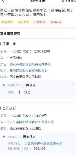 西安高陵百亩良田陷流转困局：流转费拖欠，庄稼种不成，地收不回-第4张图片-