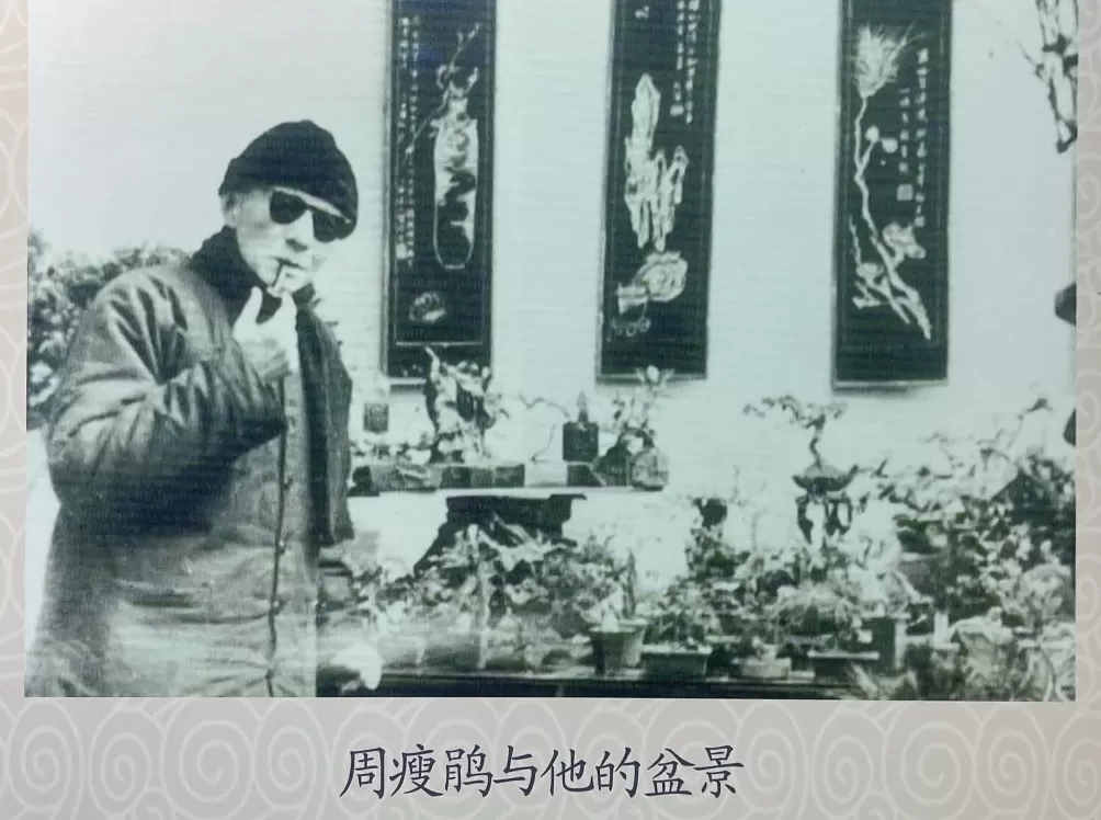 130岁的周瘦鹃郑逸梅陶冷月“携手回乡”-第1张图片-