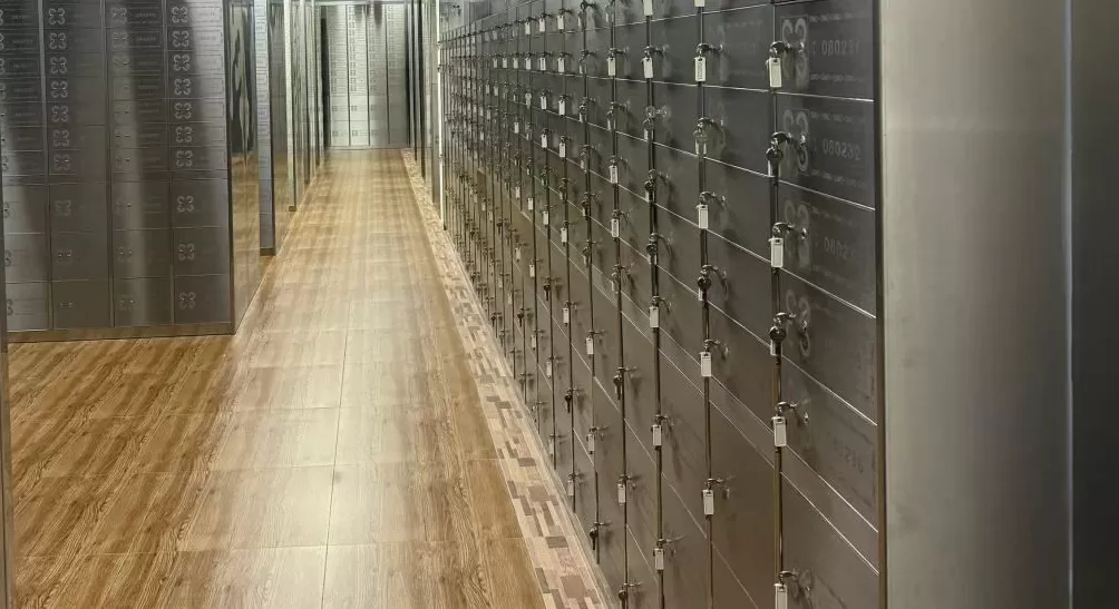 经海关总署批准，“进博直通车”业务模式在上海市中心开启运行-第3张图片-
