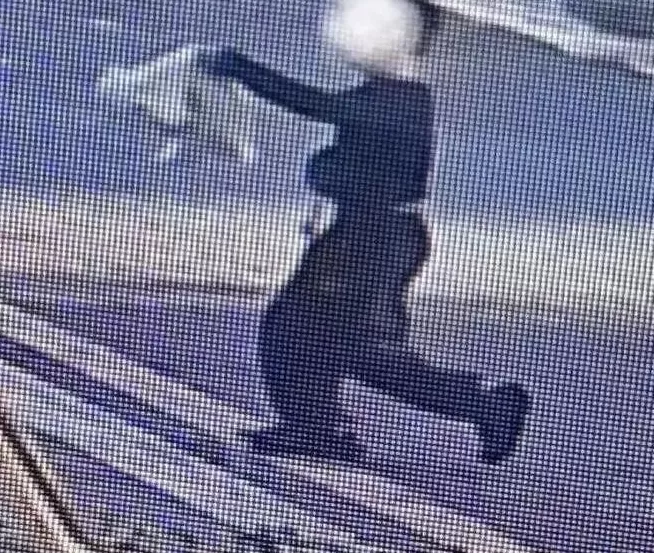 浙江一男童偷走小狗多次摔打致死,物业:男孩还没找到,会找家长严格管教-第1张图片- 浙江一男童偷走小狗多次摔打致死,物业:男孩还没找到,会找家长严格管教-第1张图片-