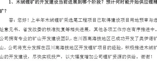 财说丨 扭亏昙花一现,盛新锂能多项偿债能力指标亮红灯-第6张图片- 财说丨 扭亏昙花一现,盛新锂能多项偿债能力指标亮红灯-第6张图片-