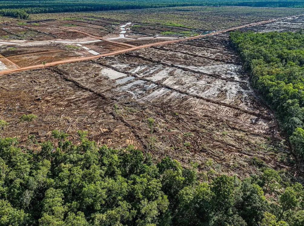 气候资讯|10月全球前沿气候科学研究&极端天气气候事件-第2张图片- 气候资讯|10月全球前沿气候科学研究&极端天气气候事件-第2张图片-