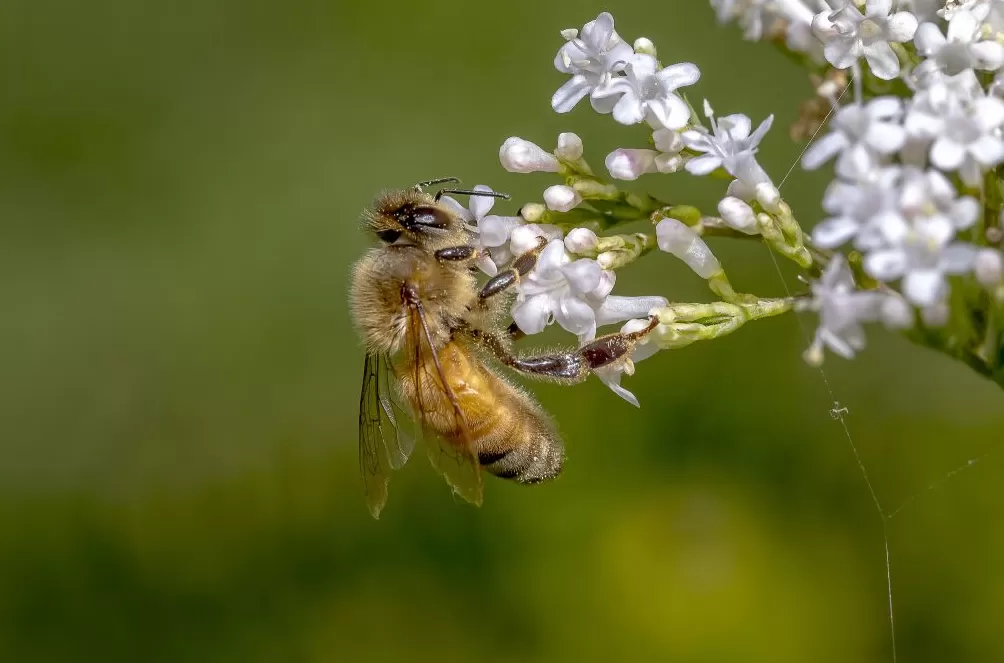 气候资讯|10月全球前沿气候科学研究&极端天气气候事件-第8张图片- 气候资讯|10月全球前沿气候科学研究&极端天气气候事件-第8张图片-