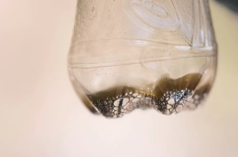 气候资讯|10月全球前沿气候科学研究&极端天气气候事件-第9张图片- 气候资讯|10月全球前沿气候科学研究&极端天气气候事件-第9张图片-