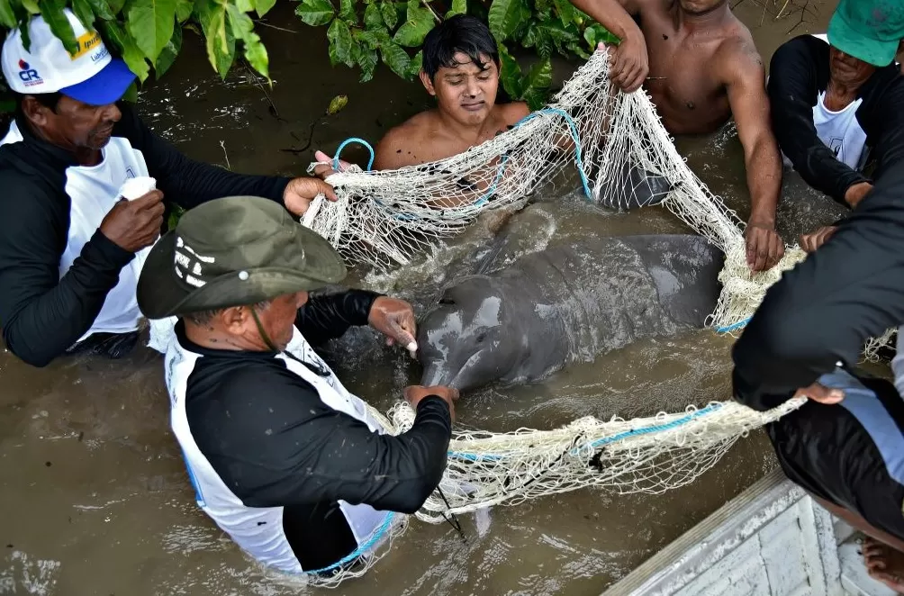 气候资讯|10月全球前沿气候科学研究&极端天气气候事件-第10张图片- 气候资讯|10月全球前沿气候科学研究&极端天气气候事件-第10张图片-