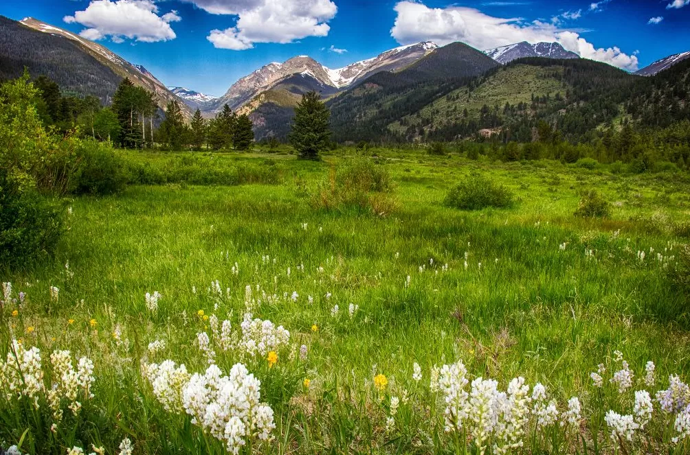 气候资讯|10月全球前沿气候科学研究&极端天气气候事件-第17张图片- 气候资讯|10月全球前沿气候科学研究&极端天气气候事件-第17张图片-