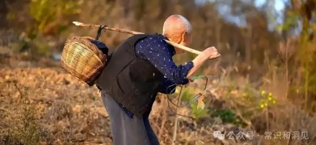 郑智化不能被理解,揭示了一个底层机制-第7张图片- 郑智化不能被理解,揭示了一个底层机制-第7张图片-