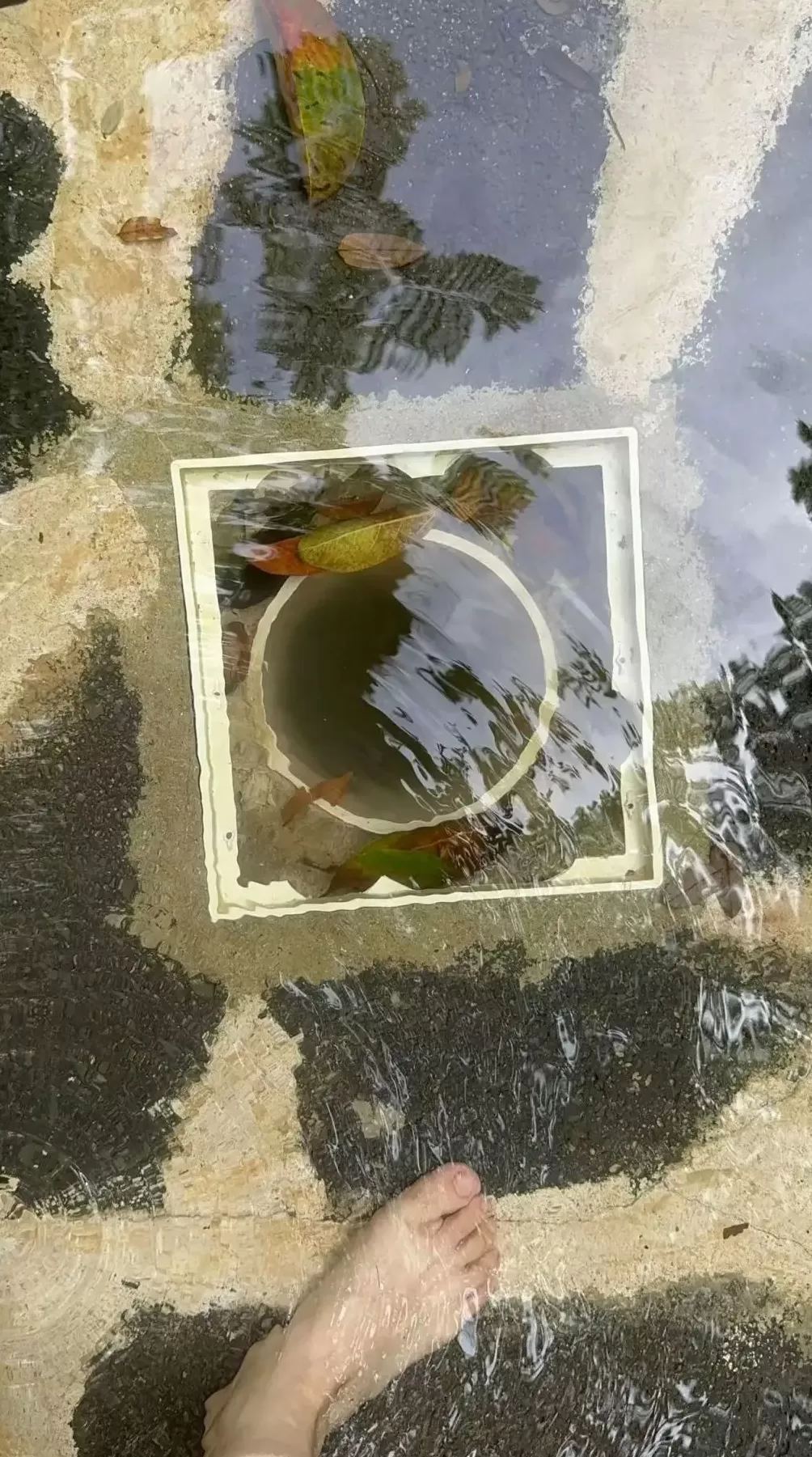 6岁女童戏水池不幸溺亡续:西双版纳两家涉事酒店被罚款共85万元-第2张图片- 6岁女童戏水池不幸溺亡续:西双版纳两家涉事酒店被罚款共85万元-第2张图片-