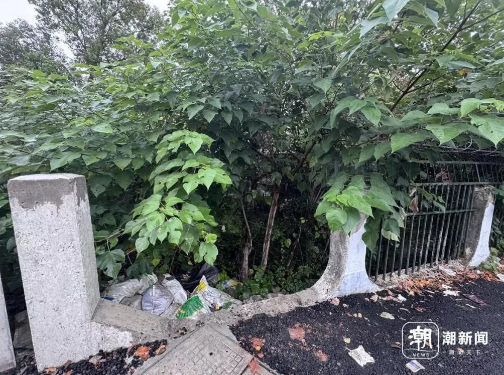 废弃医院和学校成打卡地?属地再发安全提醒:滤镜之外危险重重-第3张图片- 废弃医院和学校成打卡地?属地再发安全提醒:滤镜之外危险重重-第3张图片-