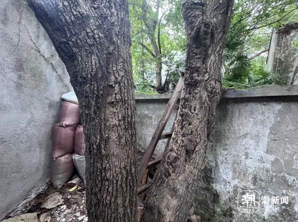 废弃医院和学校成打卡地?属地再发安全提醒:滤镜之外危险重重-第2张图片- 废弃医院和学校成打卡地?属地再发安全提醒:滤镜之外危险重重-第2张图片-