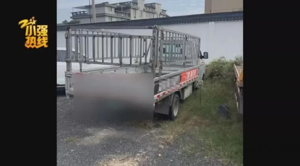 司机深夜撞死狗,二次事故致71岁老太身亡,交警认定三轮车主责货车次责,双方均不服-第1张图片- 司机深夜撞死狗,二次事故致71岁老太身亡,交警认定三轮车主责货车次责,双方均不服-第1张图片-