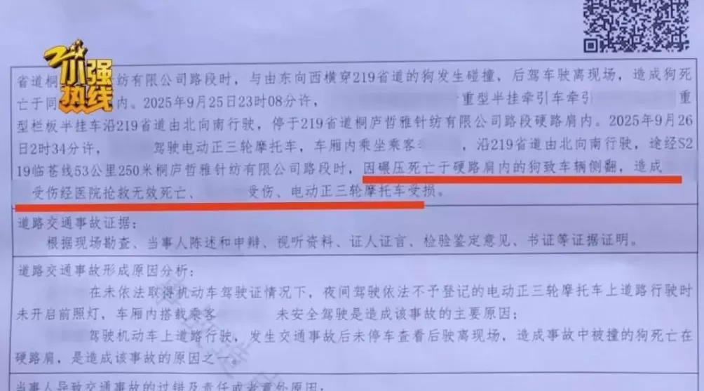 司机深夜撞死狗,二次事故致71岁老太身亡,交警认定三轮车主责货车次责,双方均不服-第3张图片- 司机深夜撞死狗,二次事故致71岁老太身亡,交警认定三轮车主责货车次责,双方均不服-第3张图片-