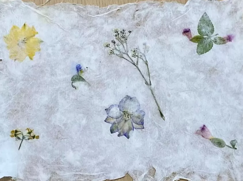 奔流日记|珍·古道尔、BigChing·阿罗姆与湖山-第1张图片- 奔流日记|珍·古道尔、BigChing·阿罗姆与湖山-第1张图片-