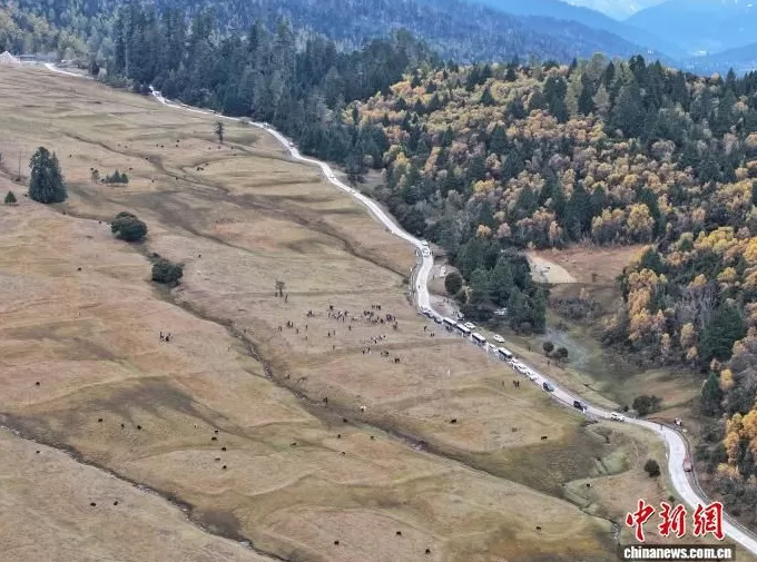 外国人士西藏林芝行有很多“没想到”-第1张图片- 外国人士西藏林芝行有很多“没想到”-第1张图片-