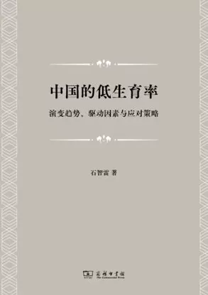 中国人口学会副会长石智雷:生育支持必须差异化、体系化,全流程覆盖|前瞻十五五⑪-第2张图片- 中国人口学会副会长石智雷:生育支持必须差异化、体系化,全流程覆盖|前瞻十五五⑪-第2张图片-