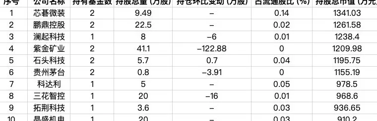 9家外资公募最新持仓曝光,AI科技成布局热点-第7张图片- 9家外资公募最新持仓曝光,AI科技成布局热点-第7张图片-