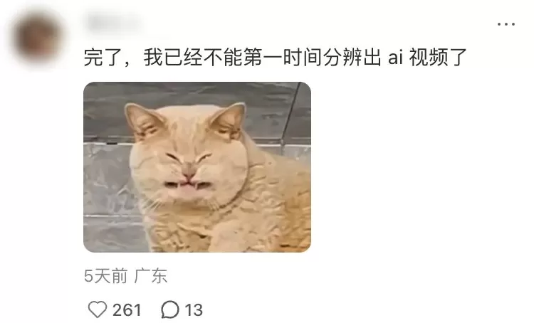 刷到一个又一个假视频后，我不敢相信互联网了-第2张图片-