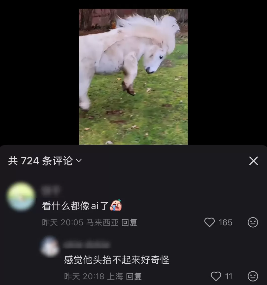 刷到一个又一个假视频后，我不敢相信互联网了-第7张图片-