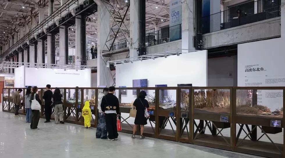 上海西岸办艺术教育展:多元而直面社会议题-第3张图片- 上海西岸办艺术教育展:多元而直面社会议题-第3张图片-