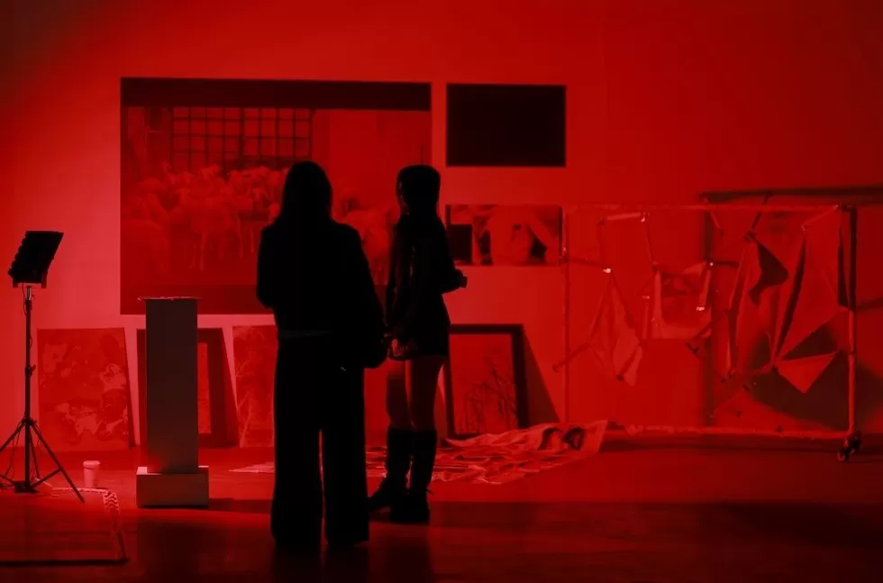 上海西岸办艺术教育展:多元而直面社会议题-第5张图片- 上海西岸办艺术教育展:多元而直面社会议题-第5张图片-