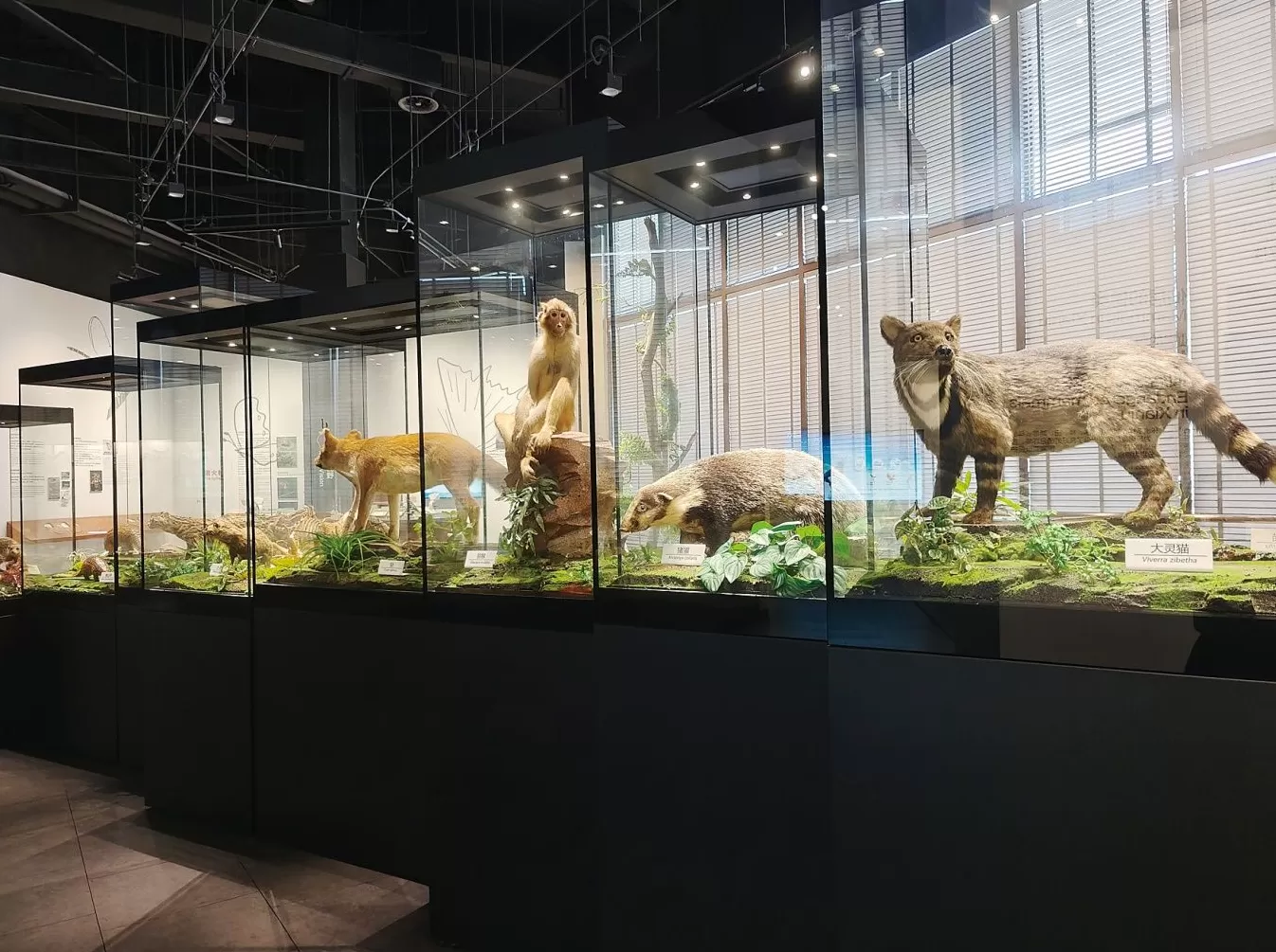 2025和合文化论坛今日开幕,在台州看见和合之美-第14张图片- 2025和合文化论坛今日开幕,在台州看见和合之美-第14张图片-