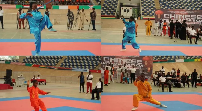 “中国大使杯”尼日利亚武术锦标赛在阿布贾成功举行-第4张图片- “中国大使杯”尼日利亚武术锦标赛在阿布贾成功举行-第4张图片-