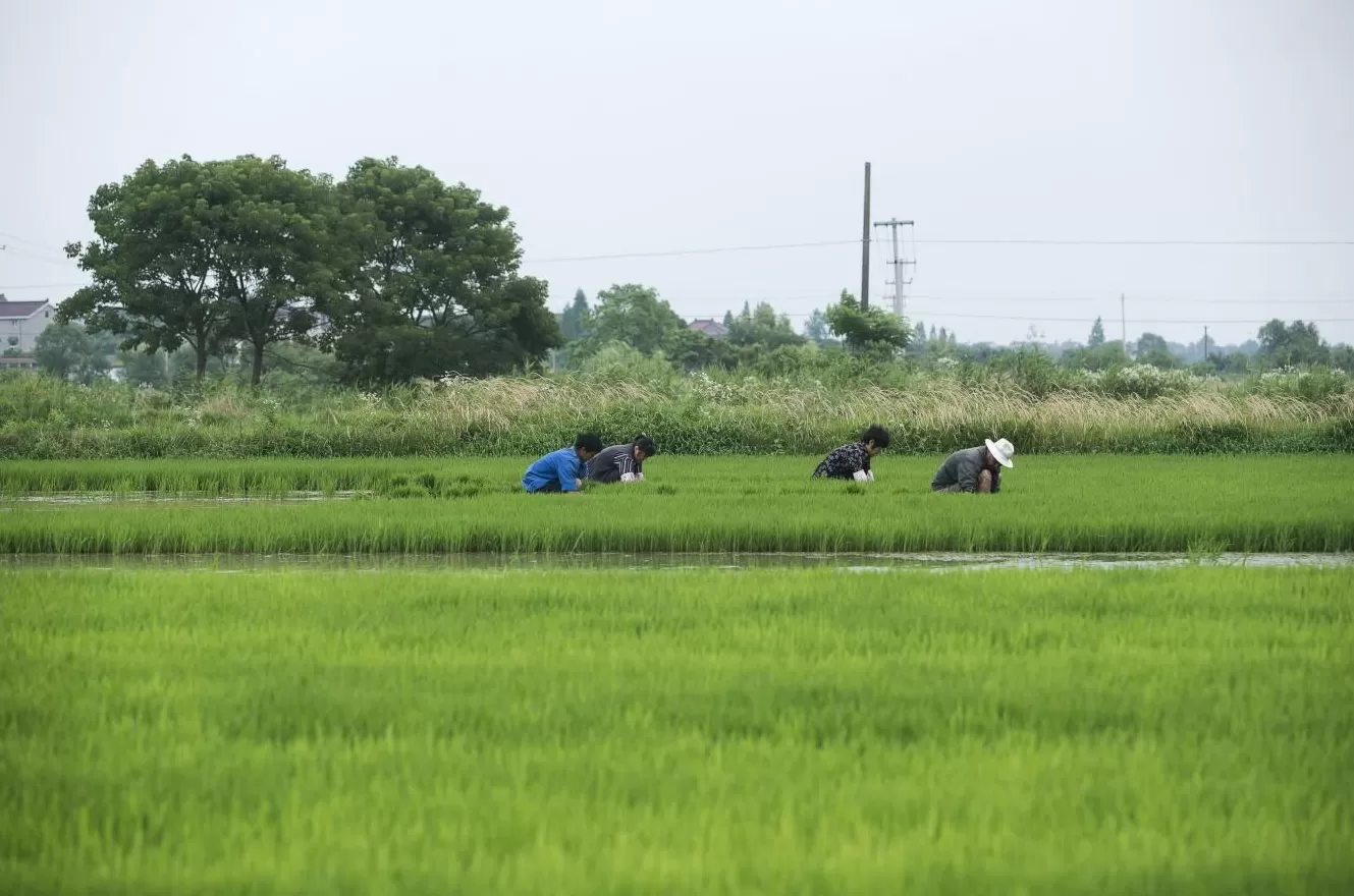 发展如何聆听土地？——动物理想家，奔赴从破壁向共野的和鸣-第8张图片-