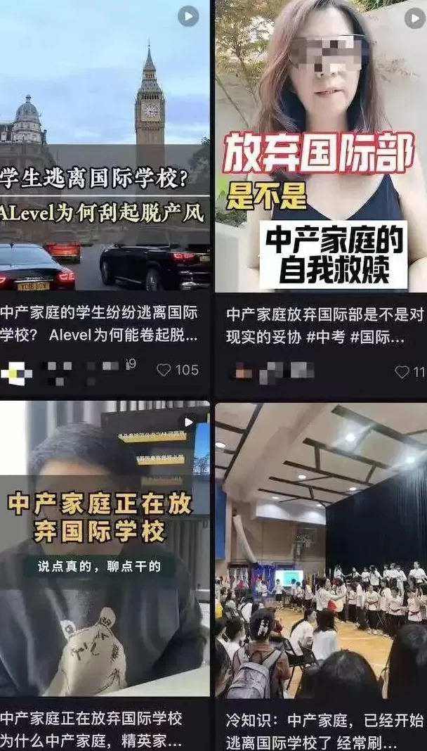 拒绝续费的中产：不装了，钱不够-第2张图片-