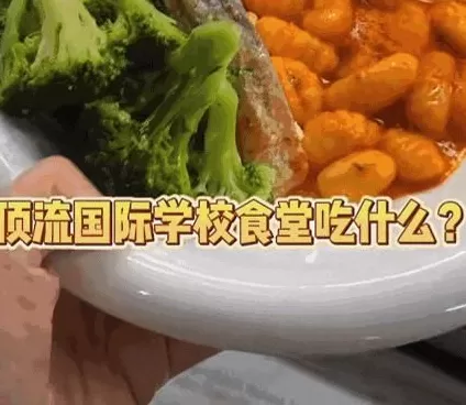 拒绝续费的中产：不装了，钱不够-第7张图片-