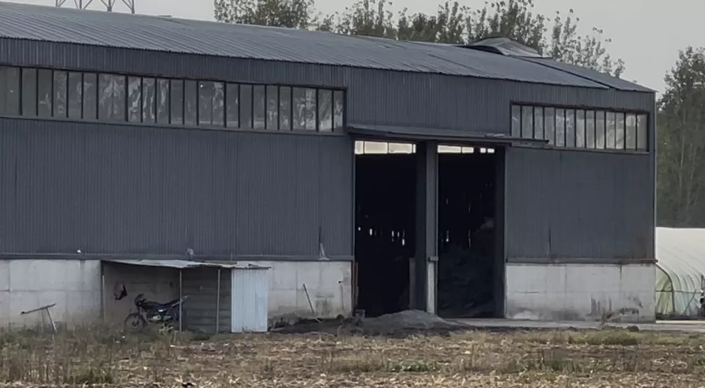 澎湃再探访涉“毒营养土”企业:当地成立处置小组,多家已被查封或停业整顿-第5张图片- 澎湃再探访涉“毒营养土”企业:当地成立处置小组,多家已被查封或停业整顿-第5张图片-