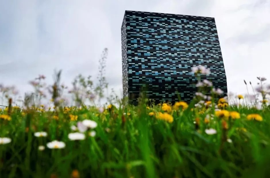 “荷兰这个时候找茬中国子公司,无疑是在冒险”-第1张图片- “荷兰这个时候找茬中国子公司,无疑是在冒险”-第1张图片-