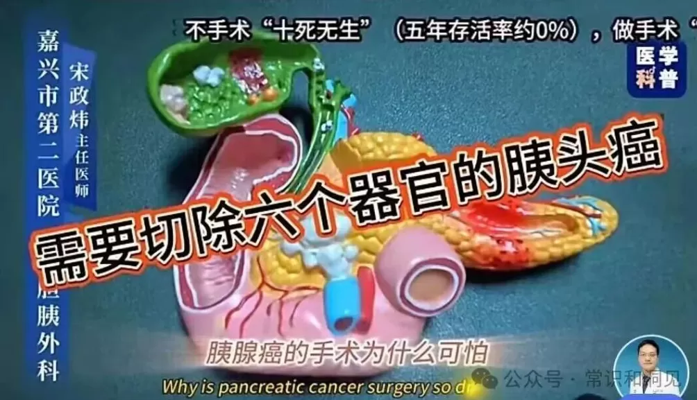 一场针对医生的网暴,正在发生-第2张图片- 一场针对医生的网暴,正在发生-第2张图片-