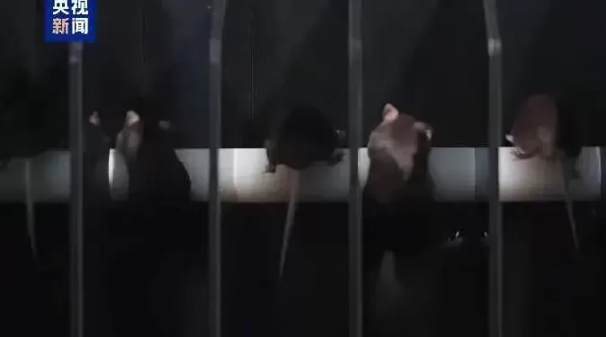 神舟上演“宇宙级浪漫”之际,美国NASA忙着火速回应知名女星的公开质疑-第4张图片- 神舟上演“宇宙级浪漫”之际,美国NASA忙着火速回应知名女星的公开质疑-第4张图片-