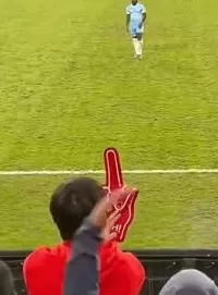 大快人心！蓉城2球迷被行拘且禁止观赛1年，辱骂河南外援+竖中指-第2张图片-