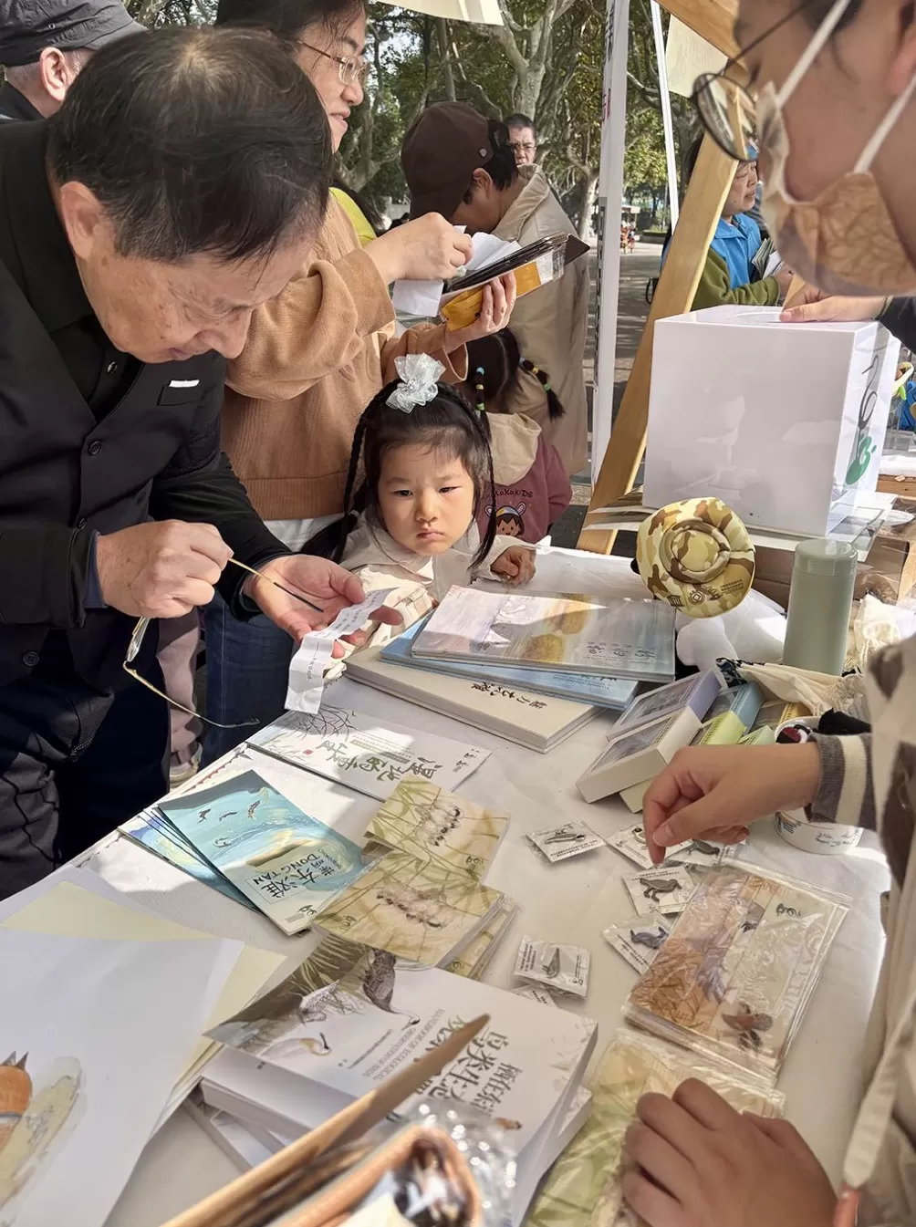 候鸟迁徙渐入高峰,上海持续开展鸟类保护活动、打击违法行为-第2张图片- 候鸟迁徙渐入高峰,上海持续开展鸟类保护活动、打击违法行为-第2张图片-