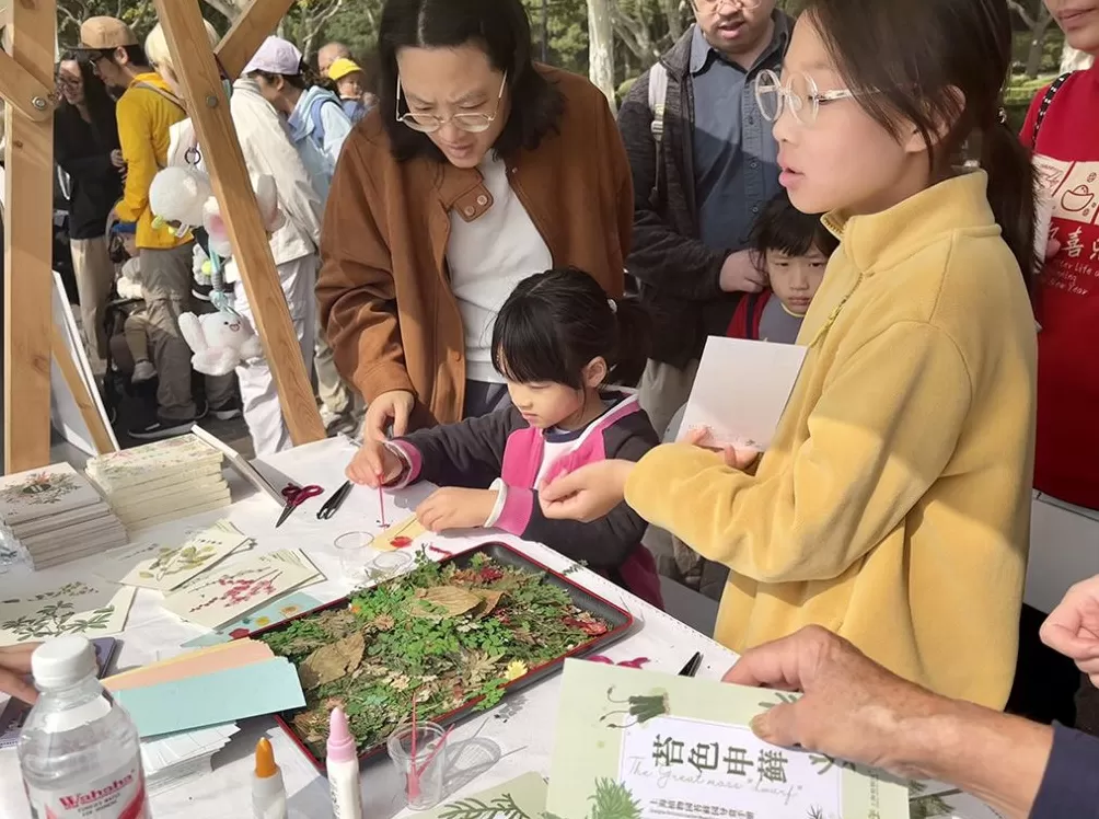候鸟迁徙渐入高峰,上海持续开展鸟类保护活动、打击违法行为-第3张图片- 候鸟迁徙渐入高峰,上海持续开展鸟类保护活动、打击违法行为-第3张图片-
