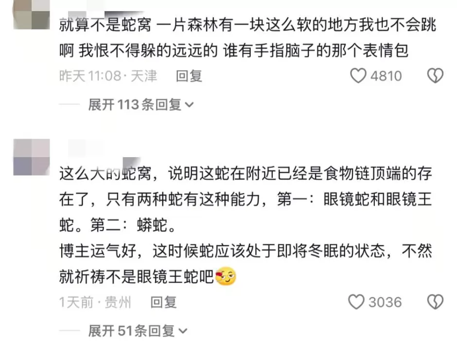 女子山中玩“野生蹦床”，事后得知是蛇窝？专业人士回应-第3张图片-