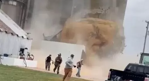 中国传来好消息,美国豆农:松了一口气!-第7张图片- 中国传来好消息,美国豆农:松了一口气!-第7张图片-