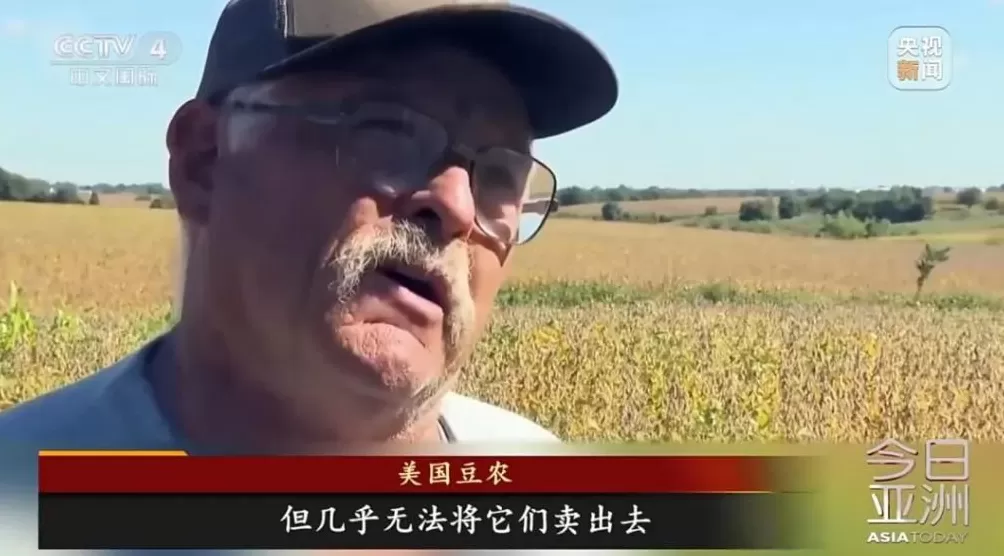 中国传来好消息,美国豆农:松了一口气!-第6张图片- 中国传来好消息,美国豆农:松了一口气!-第6张图片-