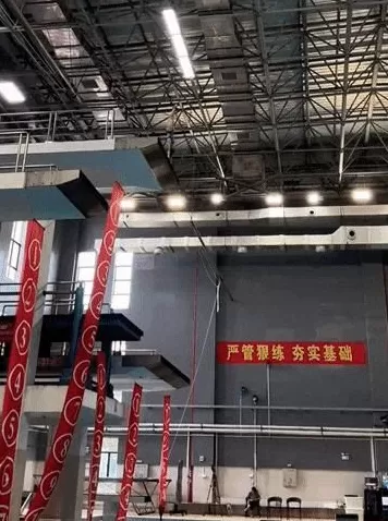 时隔5个月复出,全红婵伤愈首秀夺冠-第5张图片- 时隔5个月复出,全红婵伤愈首秀夺冠-第5张图片-