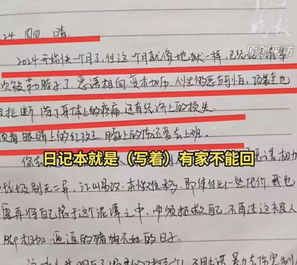 31岁女护士提分手遭男友杀害，生前日记公开，该案今天开庭-第1张图片-