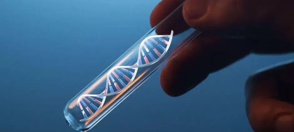 医生偷用自己的精子“助孕”,死后查出12个子女-第1张图片- 医生偷用自己的精子“助孕”,死后查出12个子女-第1张图片-