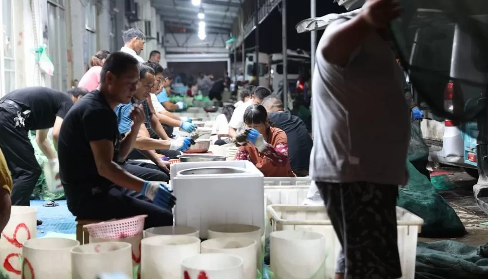 吃蟹,还得是兴化-第4张图片- 吃蟹,还得是兴化-第4张图片-