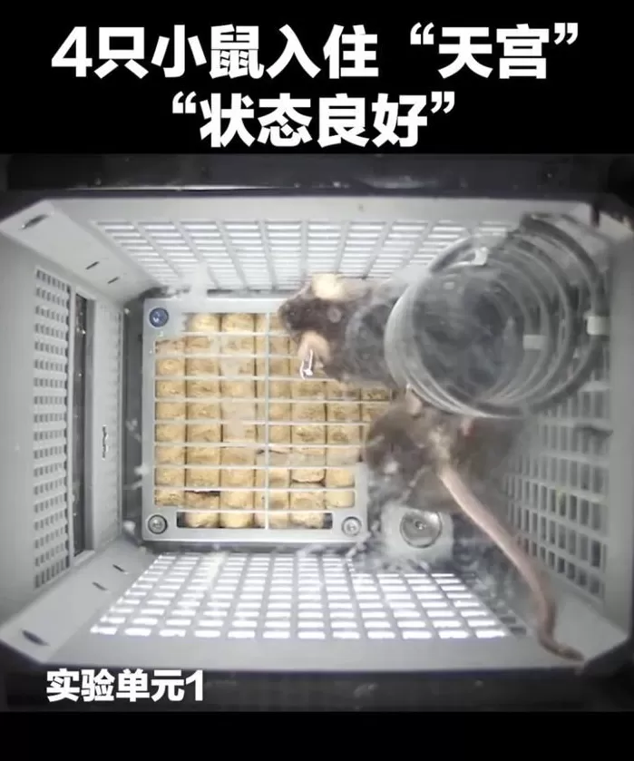 最快纪录世界唯一!中国科技捷报频传-第2张图片- 最快纪录世界唯一!中国科技捷报频传-第2张图片-