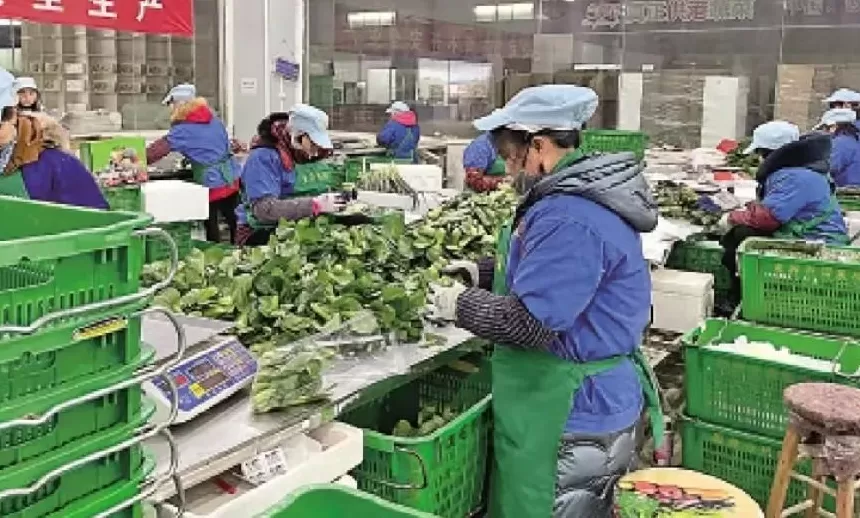 内地“穷鬼”超市，快被香港人搬空了-第20张图片-