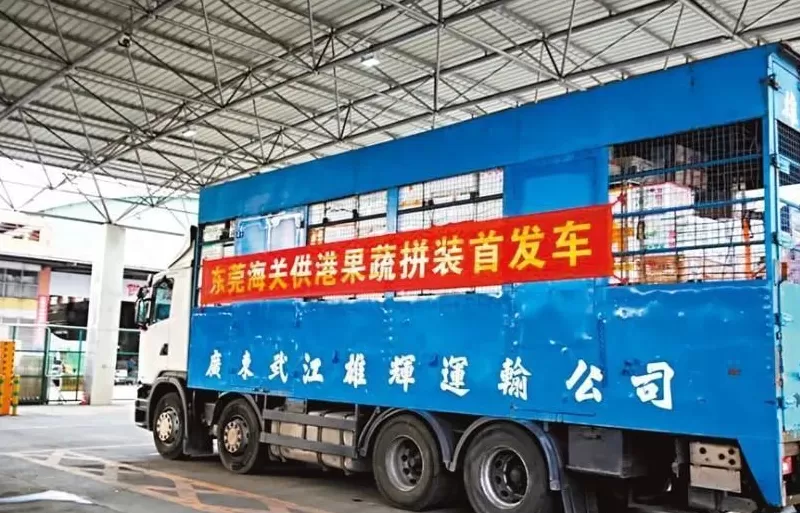 内地“穷鬼”超市，快被香港人搬空了-第21张图片-