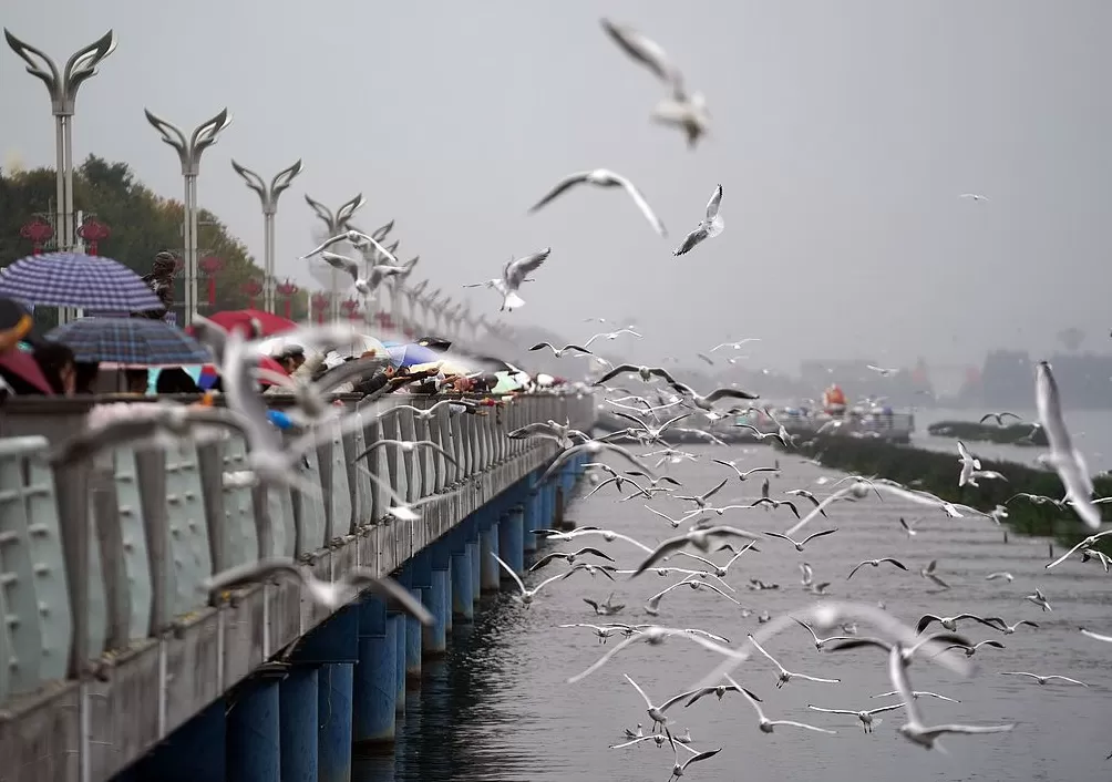 一周图片|神舟廿一叩苍穹,载人航天再启新程-第7张图片- 一周图片|神舟廿一叩苍穹,载人航天再启新程-第7张图片-