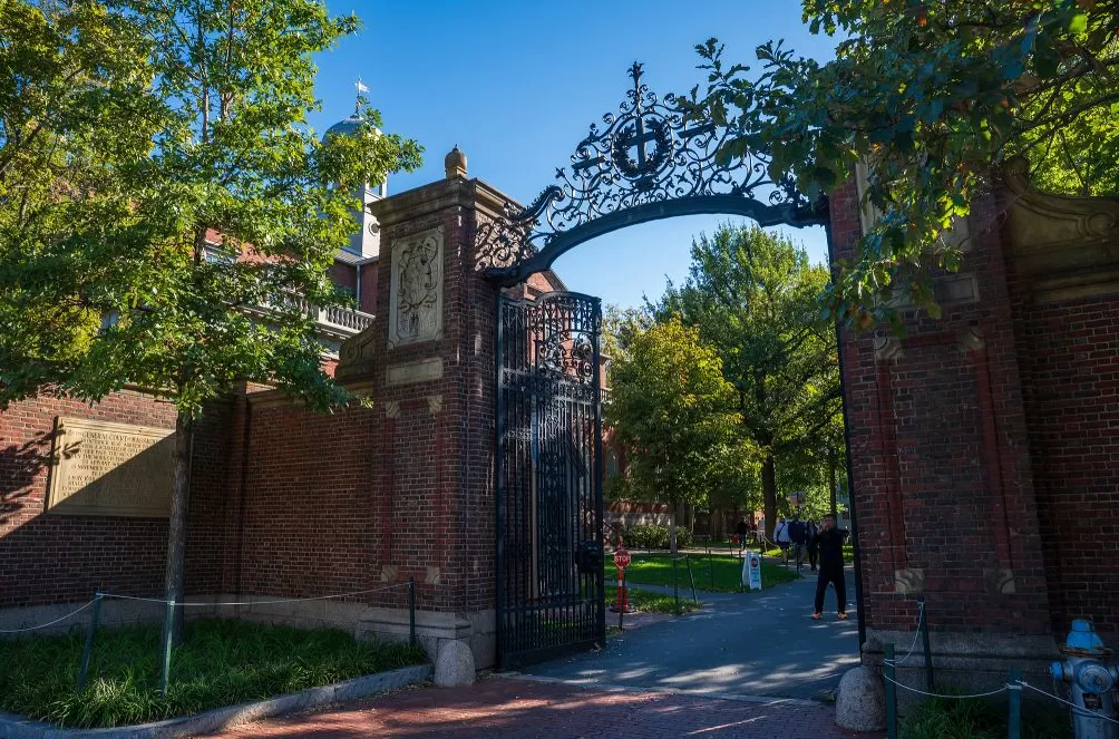 澎湃思想周报丨美国人文博士大裁撤;马斯克为何喜爱《指环王》-第1张图片- 澎湃思想周报丨美国人文博士大裁撤;马斯克为何喜爱《指环王》-第1张图片-